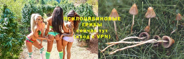 ALPHA PVP Аркадак
